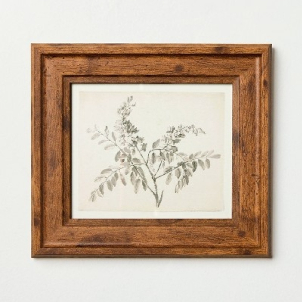 8"x9" Sketched Branches Wall Art Framed from the Hearth & Hand with Magnolia NWT